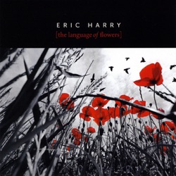 Eric Harry - Rain Rain Rain