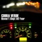 Home In the Highrise - Cobra Verde lyrics
