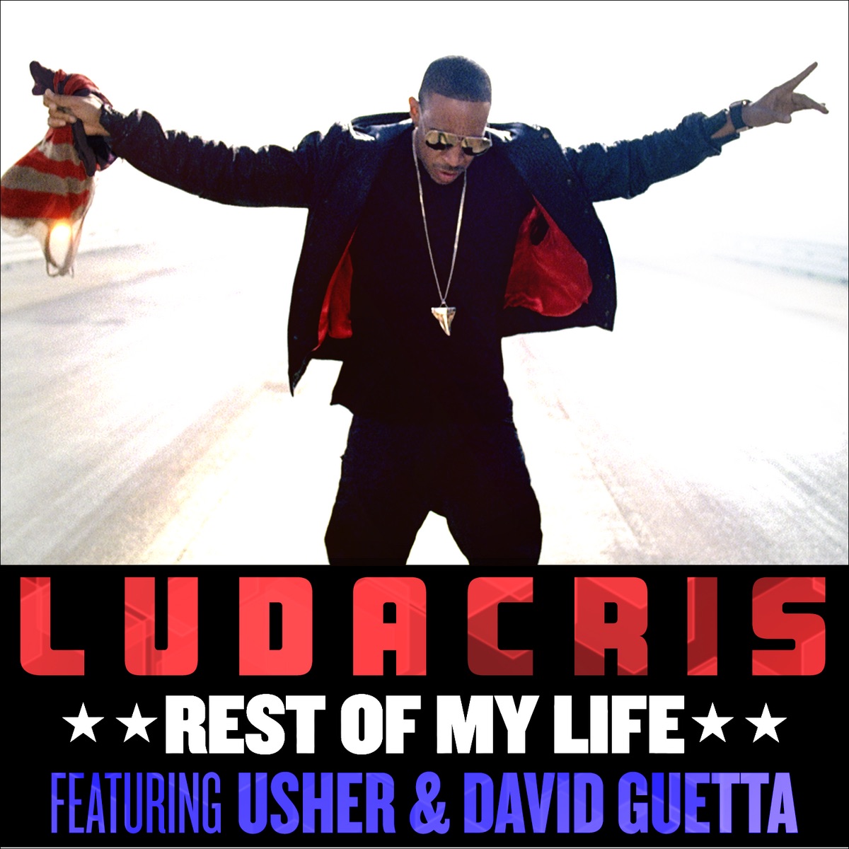 Ludacris - Rest of My Life (feat. Usher & David Guetta) - Single