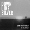 Light That Match - Single, 2013