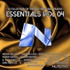 NewLight Essentials Vol. 04, 2014