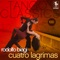 Camino Del Tucuman - Rodolfo Biagi & Alberto Amor lyrics