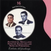 Grandes Clásicos del Cante Flamenco, Vol. 16: Estilistas del Fandango artwork