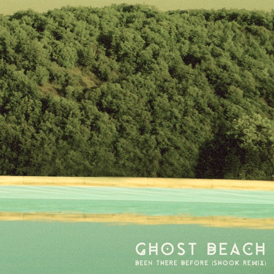 Cover artwork for Been There Before (Shook Remix)