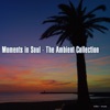Moments In Soul -The Ambient Collection