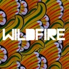 Wildfire (feat. Little Dragon) - Single artwork