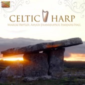 Celtic Harp artwork