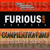 Furious Cafè Compilation 2013 (Selected by DJ Roberto Del Conte) artwork