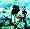 Safri Duo - Played A-Live (The Bongo Song)