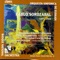 Euskalerria - Cristian Mandeal, Euskadiko Orkestra Sinfonikoa, Maite Arruabarrena & Sociedad Coral de Bilbao lyrics