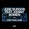 For Your Love (feat. Kenny Bobien) - Single album lyrics, reviews, download