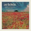 German Chamber Academy & Johannes Goritzki - Symphony in D Major, G. 500: I. Allegro