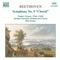 Symphony No. 9 in D Minor, Op. 125, "Choral": II. Molto vivace artwork