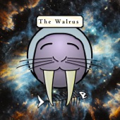 The Walrus - Platonic