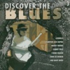 Discover the Blues, Vol. 3, 2005