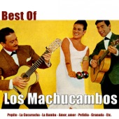 Best of los Machucambos artwork