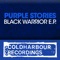 Locust - Purple Stories lyrics