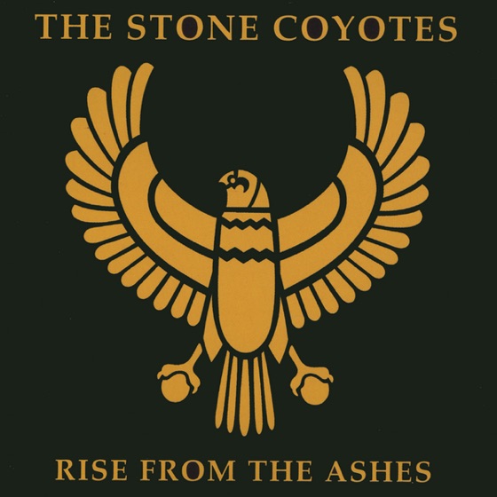 Cover artwork for If You See the One