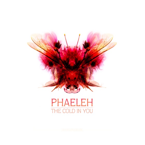 Cover artwork for In the Twilight