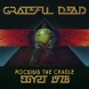 Rocking the Cradle - Egypt 1978 artwork