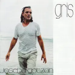 Gris - Joseba Gotzon