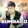 Zumbalo (feat. Profeta) - Single album lyrics, reviews, download