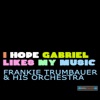 I Hope Gabriel Likes My Music EP - Single