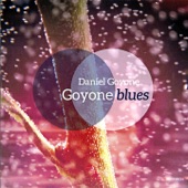Goyone Blues (feat. David Linx, Nguyen Le, Ibrahim Maalouf & Thierry Bonneaux) artwork