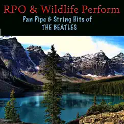 Pan Pipe & String Hits of The Beatles by Wildlife & Royal Philharmonic Orchestra album reviews, ratings, credits
