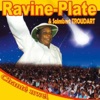 Ravine-plate - Single