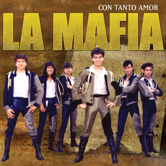 Cover artwork for Pienso en Ti