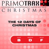 Twelve Days of Christmas (Vocal Demonstration Track - Original Version) artwork