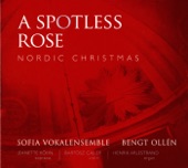 A Spotless Rose: Nordic Christmas artwork