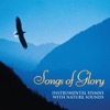 Songs of Glory: Instrumental Hymns, 2013