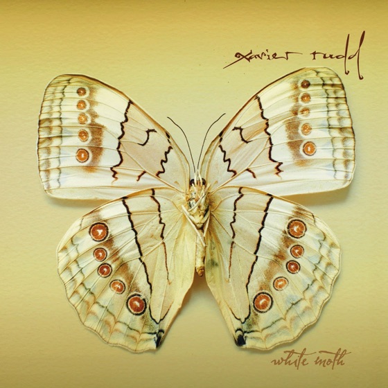 Cover artwork for Twist