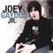 Sonic Boom - Joey Gaydos Jr. lyrics