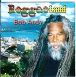 Bob Andy - Too Experience