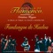 Fandango Medio: Cante y Guitarra - El Trini & Víctor Manuel Rosa lyrics