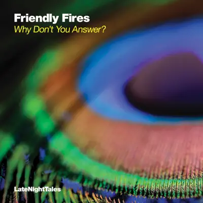 Why Don’t You Answer? - Single - Friendly Fires