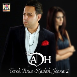 TEREH BINA KADAH JEENA 2 cover art