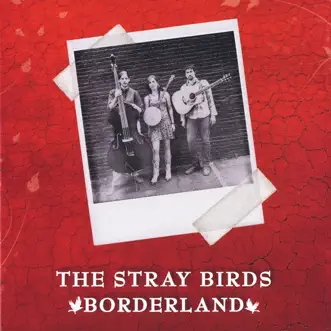 Borderland by The Stray Birds album reviews, ratings, credits