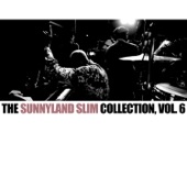 The Sunnyland Slim Collection, Vol. 6 artwork