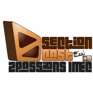 Section Zcast cover