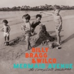 Billy Bragg & Wilco - Remember the Mountain Bed