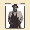 Muddy Waters - Mannish Boy