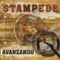La Mentira - Stampede lyrics