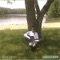 Shred Betty - Scott Cooley lyrics
