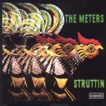 The Meters - Tippi-Toes