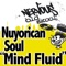 Mind Fluid (Ambiesh Mix) - Nuyorican Soul lyrics