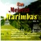 El Costeño - Marimba Tapachula De Carlos F. Lavariega, Marimba Palma De Oro, Marimba Lira De Plata, Marimba Orq.  lyrics